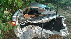 В Тверской области иномарка влетела в дерево – водитель погиб на месте