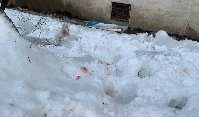 В Твери на 10-летнего мальчика упала ледяная глыба