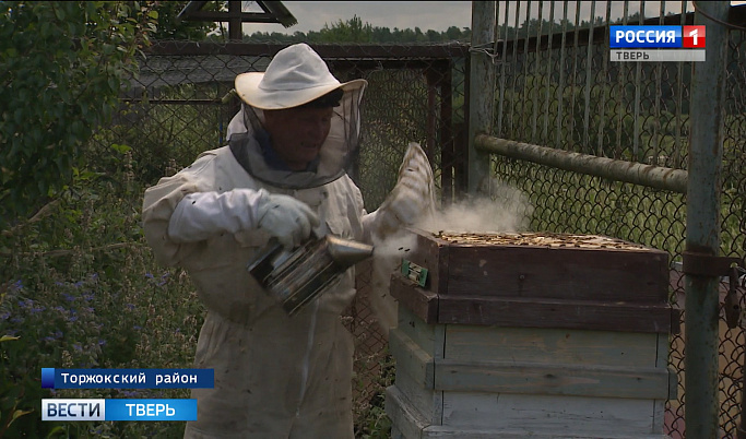 Как погода влияет на пчеловодство в Тверской области