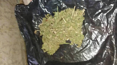Полицейские нашли в гараже жителя Ржева марихуану