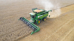 В Тверской области побили рекорд по урожайности озимой пшеницы за последние 15 лет