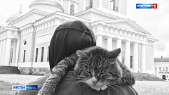 Монастырь в Тверской области приютил 150 котов