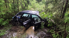 В Тверской области водитель «Ауди» на скорости въехал в дерево и погиб