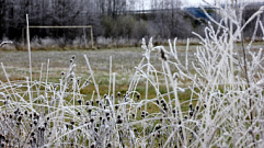 В Тверской области снова ожидаются заморозки