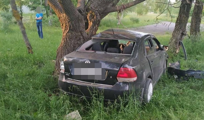 В Тверской области водитель не справился с управлением и протаранил дерево