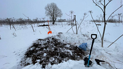В Ржевском районе поисковики нашли останки двух солдат Красной армии