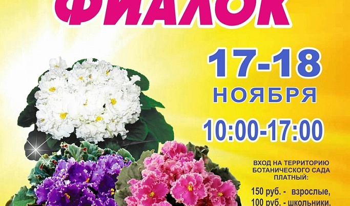 Тверской ботанический сад приглашает жителей города на выставку фиалок