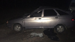 На трассе в Тверской области автомобиль сбил лося