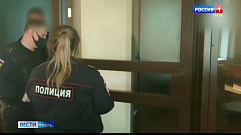Подозреваемые в жестоком убийстве лосихи в Тверской области предстанут перед судом