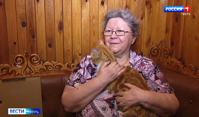 «Бабушка для кошки»: в Твери пожилым людям и их животным помогут волонтеры 
