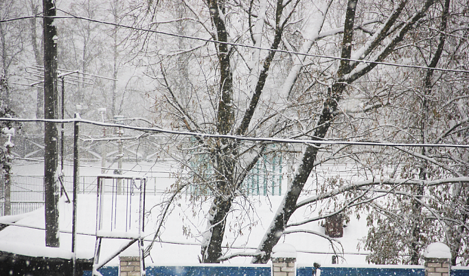 Сильный снег и ветер обещают жителям Тверской области 11 января