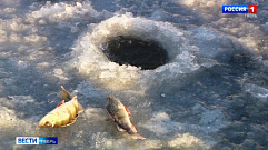 В рыбе из водоемов Тверской области нашли паразитов