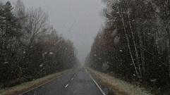 В Тверской области заметили первый снег