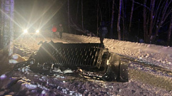 В Тверской области мужчина погиб, врезавшись на снегоходе в дерево