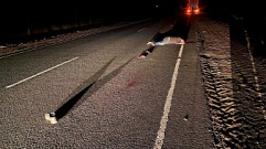 Пешеход погиб в результате ночного ДТП в Тверской области