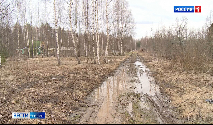 Первый крупный пал травы зафиксировали в Тверской области
