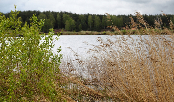 В реке в Тверской области утонул 73-летний мужчина