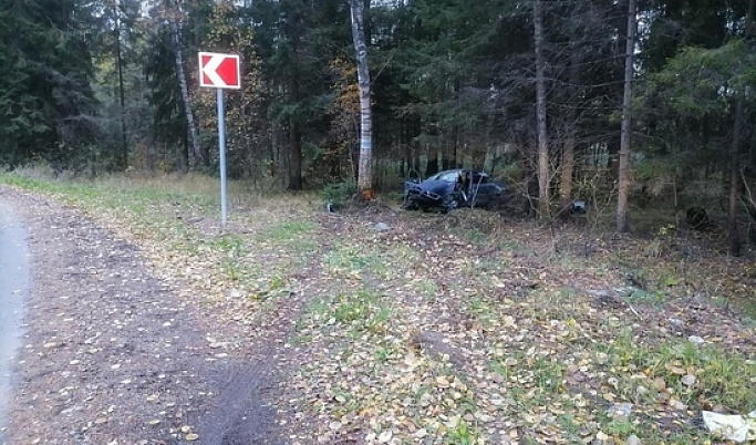 В Тверской области иномарка влетела в дерево: водитель погиб 