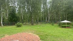 Бастрыкин взял на контроль инцидент в ржевском лагере, где детей заставляли носить цемент
