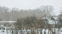 Снег и дождь обещают в Тверской области 30 октября