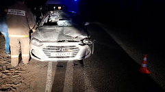 В Тверской области в ДТП с лосем пострадал 18-летний пассажир
