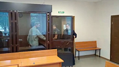 Серийного вора заключили под стражу в Тверской области