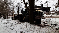 В Тверской области водитель врезался в дерево и лишился уха 