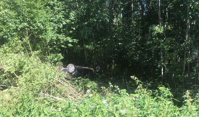 В Тверской области легковушка вылетела в кювет: пострадали два человека