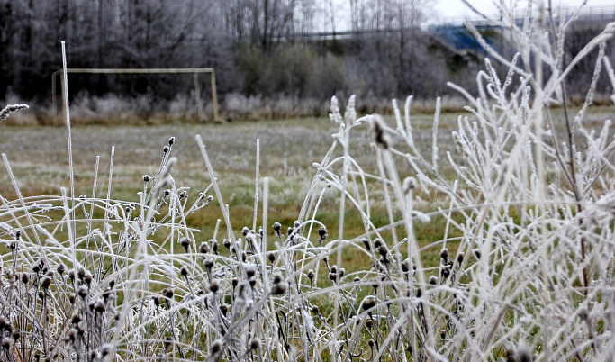 В Тверской области снова ожидаются заморозки