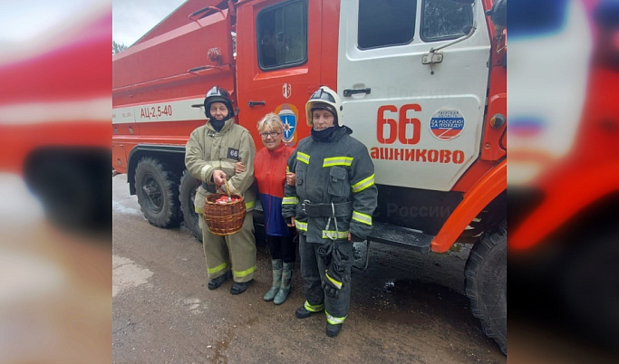 В Лихославльском округе спасатели помогли заблудившейся в лесу женщине