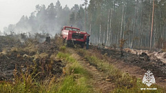 Огнеборцы потушили остатки от рубки леса в Тверской области