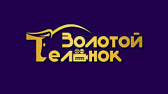 Молодежь Тверской области может принять участие в кинофестивале «Золотой теленок»