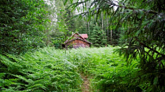 Центрально-Лесной заповедник в Тверской области открылся для гостей