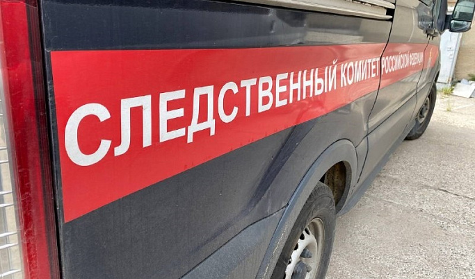 СК возбудил уголовное дело по факту гибели двухлетнего ребенка в пруду в Тверской области 