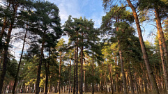 Границы ещё 17 особо охраняемых природных территорий утвердили в Тверской области