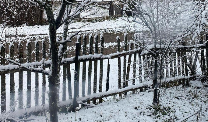 Утром в Тверской области выпал снег 
