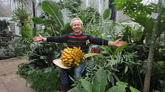Ботанический сад приглашает тверитян на дегустацию бананов