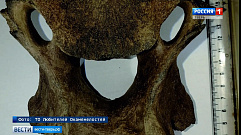 Жительница Тверской области нашла останки древнего носорога