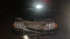 В Кашинском городском округе в ДТП с лосем погиб водитель