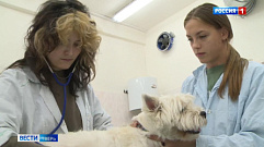В сельскохозяйственной академии Твери состоится первый выпуск ветеринарных врачей
