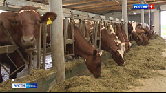 «Кувшиновская молочная компания» активно развивает производство