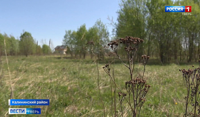 Неиспользуемые земли и пал травы: жителей Тверской области  предупредили о «летних» штрафах