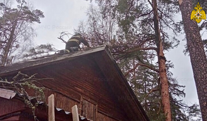 Из-за сильного ветра на дом в Тверской области упало дерево