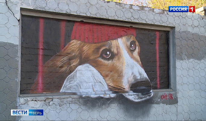 Секреты нового граффити с собакой в Твери 