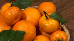 В Твери в апельсинах и мандаринах из Турции нашли щитовку