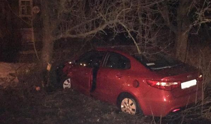 В Тверской области мужчина врезался в дерево на угнанном автомобиле