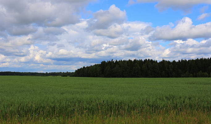 В Тверской области утвердили границы 8 особо охраняемых природных территорий