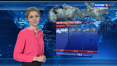 Потепление принесет в Тверскую область небольшие дожди и мокрый снег