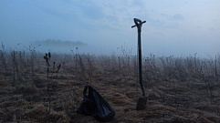 Поисковики нашли останки трёх неизвестных красноармейцев в Тверской области