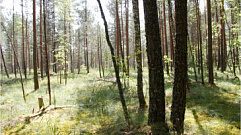 В Тверской области утверждены границы 5 особо охраняемых природных территорий